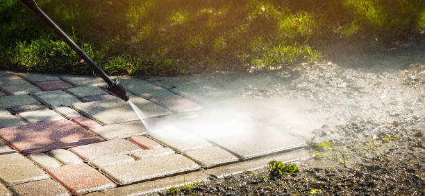 Best Fence Cleaning and Maintenance in Lake Of The Woods, VA